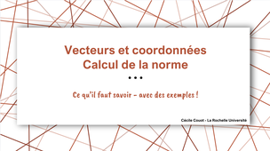 Vecteurs et coordonnées - calcul de la norme