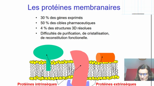 CM 5 Utilisation de la PDB...partie 2