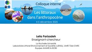 First study and advances in monitoring oxidative stress and bioactive molecules in Holothuria forskali co-cultured  with Crassostrea gigas under marine heat waves