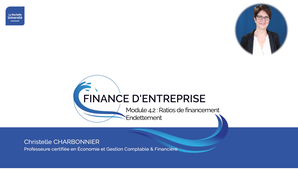 M4.2-RatiosFinancement-Endettement