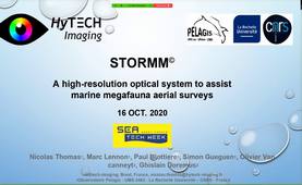 STORMM : Système de Télédétection Optique aéroporté pour l’aide au Recensement de la Mégafaune Marine