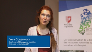 Vera Gorbunova at the 2022 Cancer and Evolution Workhop