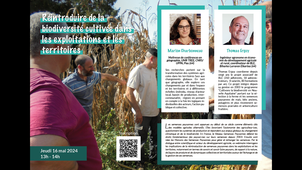 Réintroduire de la biodiversité cultivée dans les exploitations et les territoires