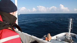 Megascope l'observation à bord de navires halieutiques
