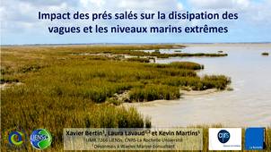 Impacts des prés salés sur la dissipation des vagues et sur  les niveaux marins extrêmes