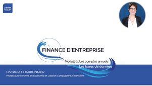 M2-Comptes-Annuels-Bases-données
