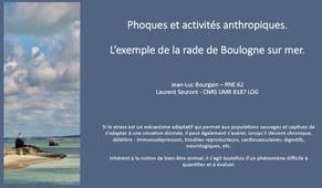 18 Compatibilité entre phoques et activités humaines à Boulogne-sur-mer