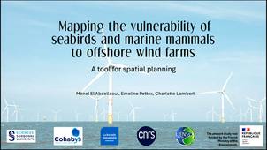 Cartographie de la Sensibilité de la Mégafaune Marine à l’éolien en mer : un outil d’aide à la planification  spatiale