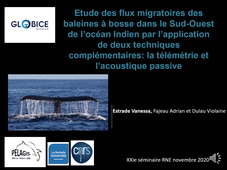 Etude des flux migratoires des baleines à bosse dans le Sud-Ouest de l’océan Indien