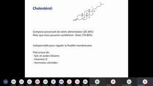 PresLipoproteines