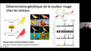 Utilisation de la génomique et de la bioacoustique en écologie et biologie de la conservation