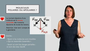 Cours Partie 6-2.mp4
