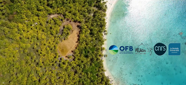 Campagne REMMOA POLYNESIE