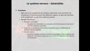 2020-2021_Chapitre1_Anatomie_fonctionnelle_SN_Partie1_Physiologie_animale2