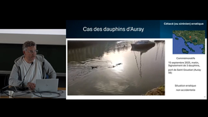 Gestion des animaux en détresse