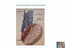 Cours Physiologie de la reproduction Cours n°1